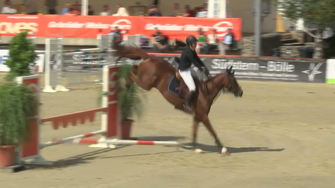 Carola Lehner - Showjumper